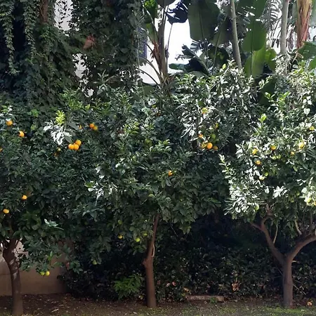 Appartamento Casa Assuntina Cefalù