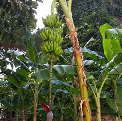 Casa Assuntina Appartamento