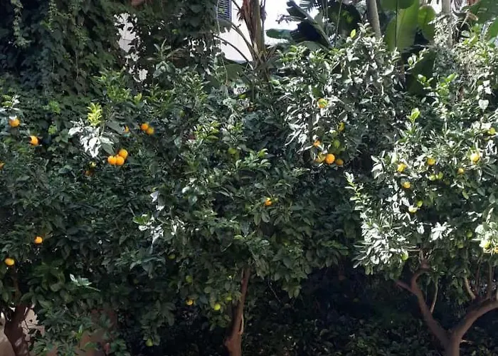 Appartamento Casa Assuntina Cefalù