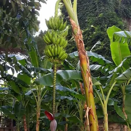 Casa Assuntina شقة